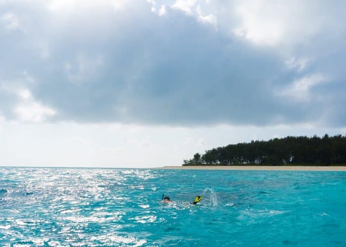 Snorkeling-At-Mnemba