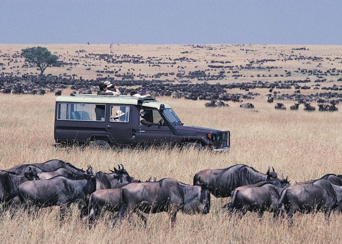 serengeti-migration-safari-